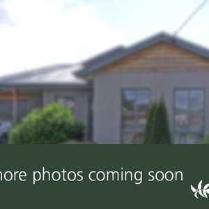 Bright and Sunny - Photo 3