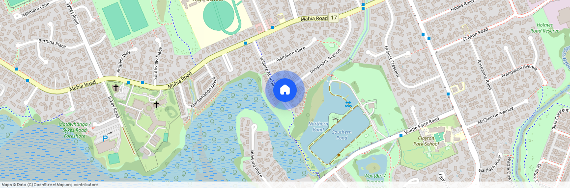 20A Volante Avenue, Manurewa, Manukau City