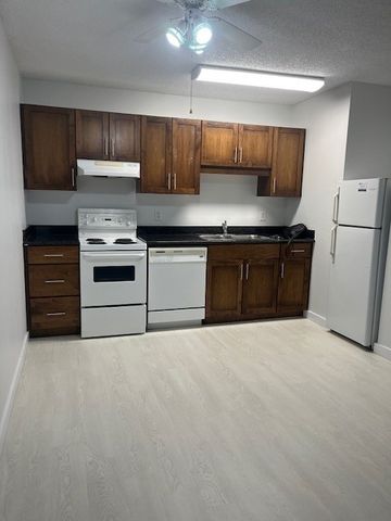 One Bedroom Rental Near Market Mall- New Flooring and Paint, with parking and dishwasher - Photo 4