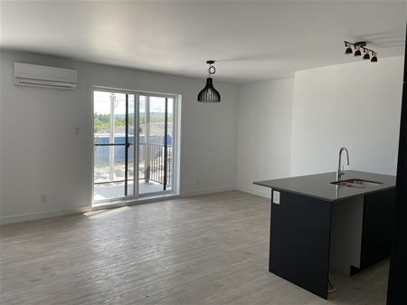 3½ (juillet) 908-205 rue Lamarche, Sherbrooke J1H 0M9 - Photo 3