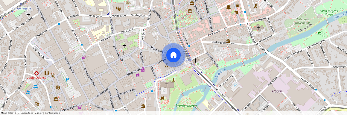 5. th, Skomagerstræde 5B, 5000, Odense C