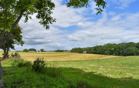 Munka Tågarp, Tomelilla - Photo 2