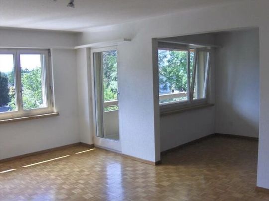 Central apartment for rent in Uster - Photo 1