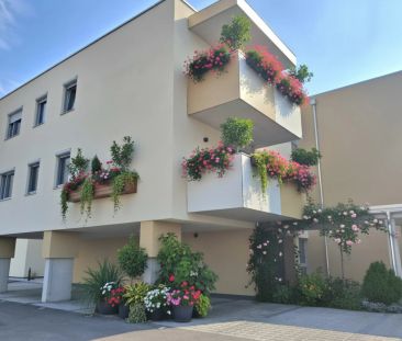 Erstbezug! Moderne 2-Zimmer-Wohnung mit Komfort & Design - Foto 6