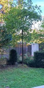 Appartement à louer 2 pièces 47.47m² - Photo 4