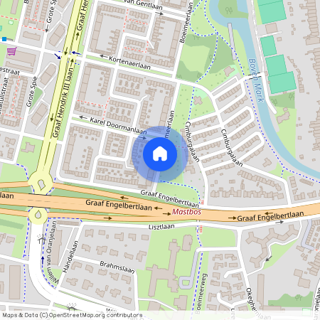 Boeimeer, 4819 BJ, Boeimeerlaan, Breda