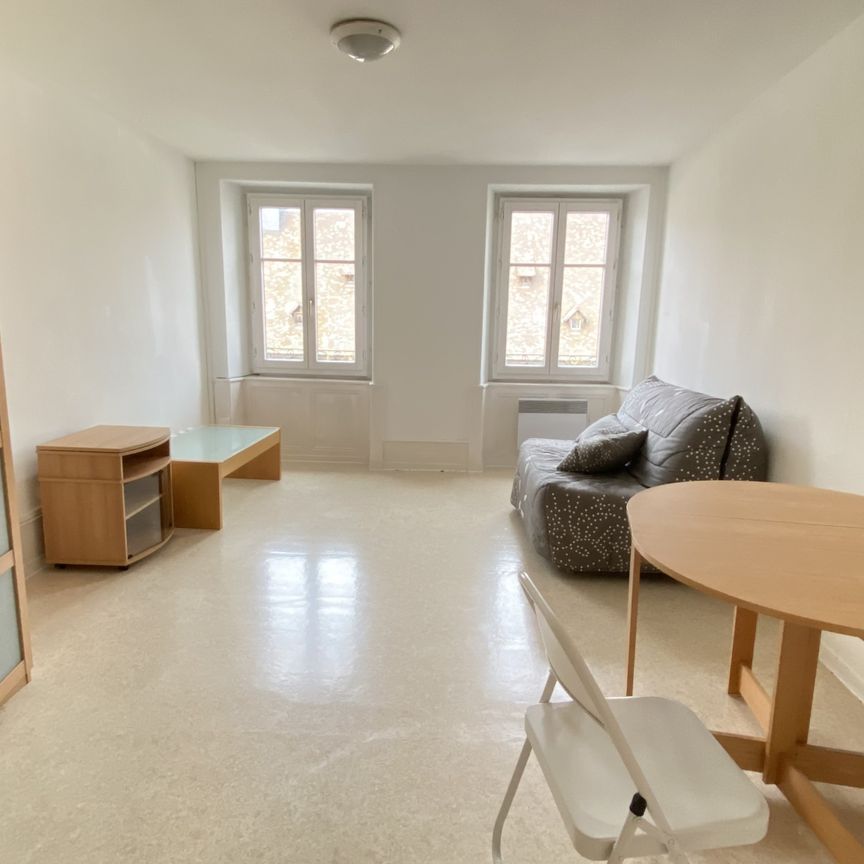 F1 MEUBLE - CENTRE VILLE - Photo 1
