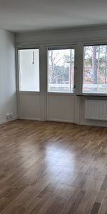 Pettersbergsgatan 43 B - Photo 3