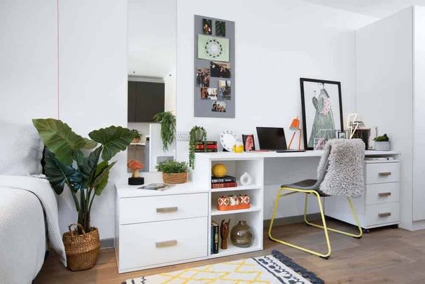 Double Wheelchair Accessible Studio - Photo 1