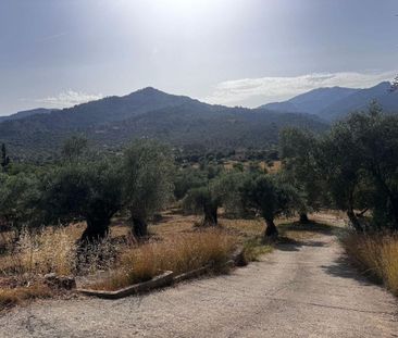 Luxury 3 room Detached House for rent in Mancor de la Vall, Baleari... - Photo 1