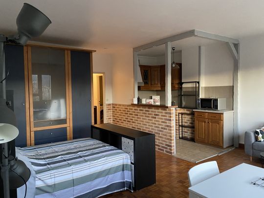 Appartement 1 Pièce MEUBLÉ + parking sous - sol - Photo 1