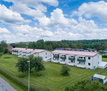 Vimbroplan 23 - Photo 1