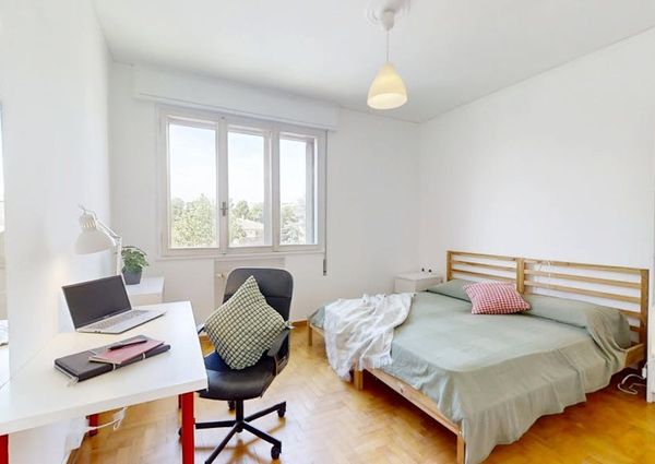 Via Gattamelata, Padova, Veneto 35128