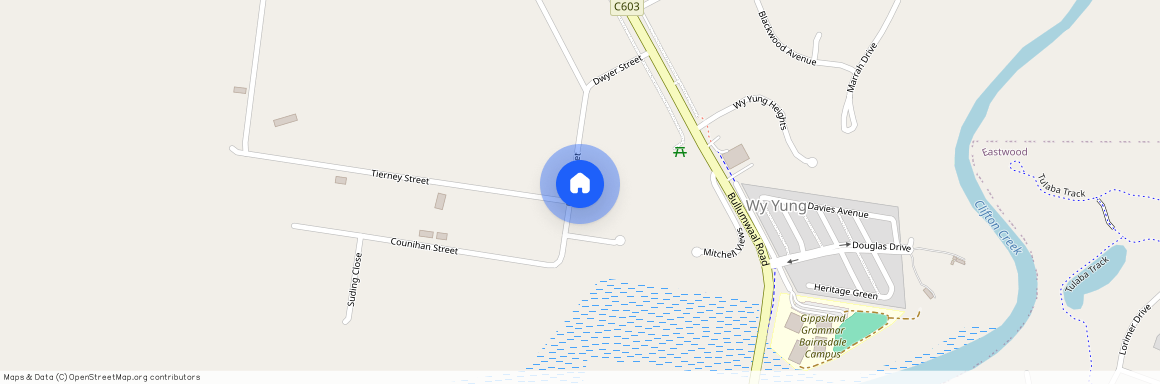 25 Dwyer Street, Vic 3875, Wy Yung