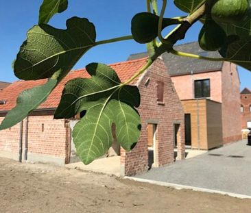 Gerenoveerde half-open woningen in Aalter - Photo 6