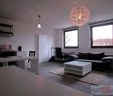 FLATmix.de / Gemütliches,vollmöbliertes 1-Appartment im Erdgeschoss - Photo 3