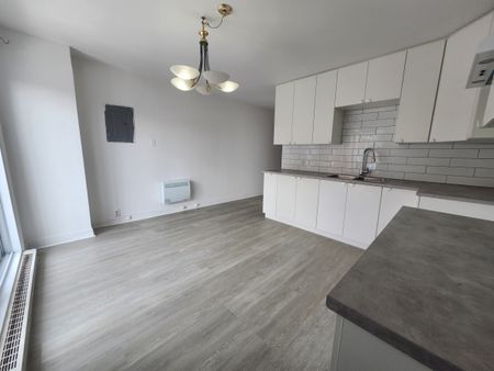 4967 Rue Bélanger - Photo 2