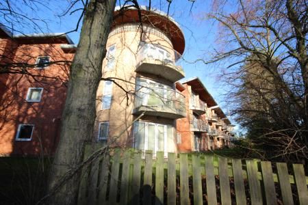 Pineview Gardens, Derby, Littleover, DE23 - Photo 2