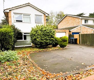 3 bedroom detached house to rent - Photo 6