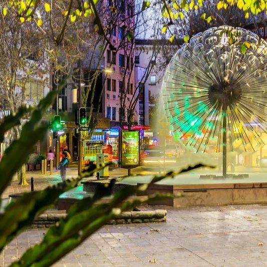 Perfect Potts Point Apartment - Photo 1