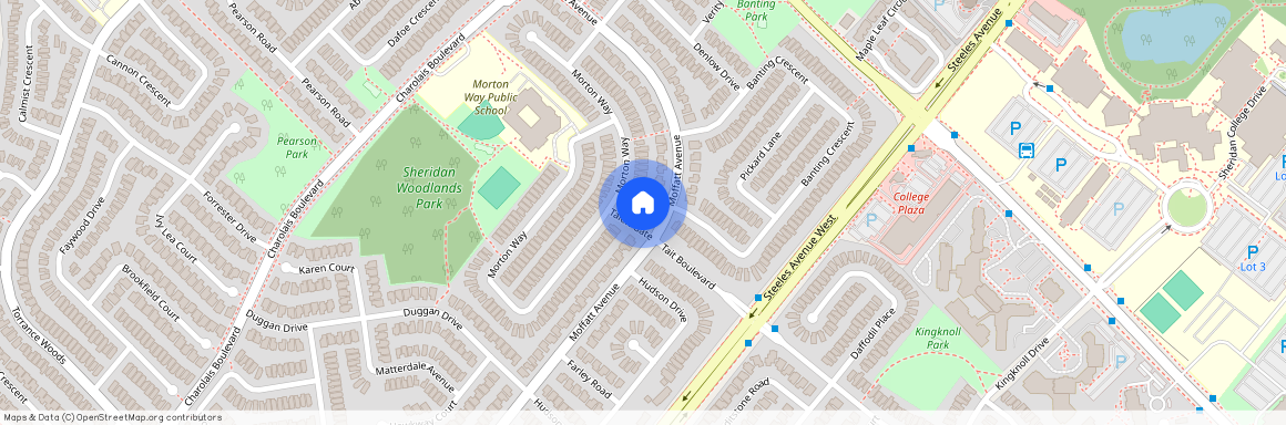 52 Moffatt Avenue Unit# BASEMENT, Brampton