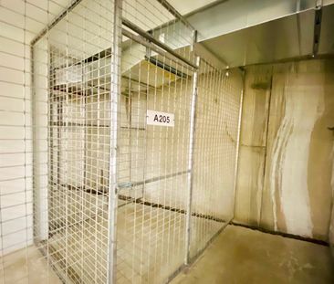 North-facing 1 bedroom plus study apartment in "Meridian" - Photo 1