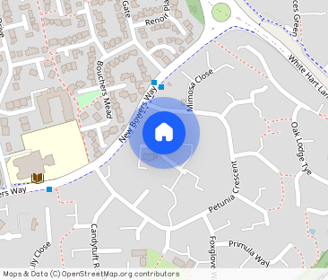 Begonia Close, Chelmsford - Photo 1