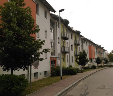 HOLLABRUNN XX/2 - Photo 2