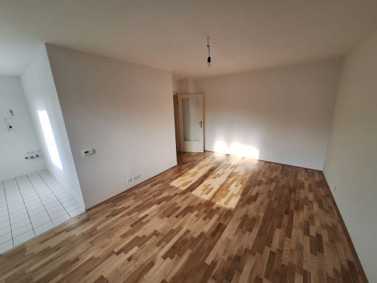 Supersüß und grün und sonnig - Photo 1