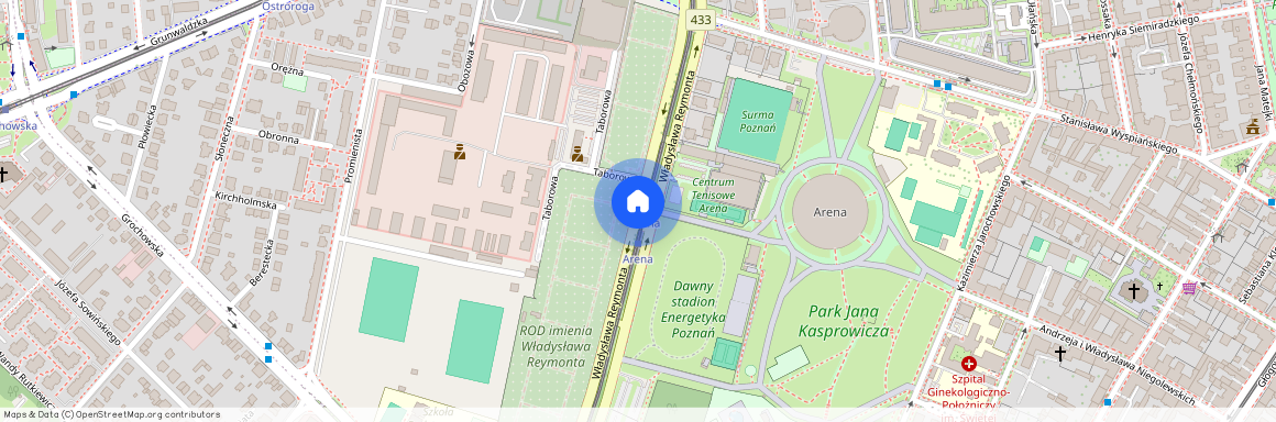 ul. Władysława Reymonta, Łazarz, Grunwald, Poznań, wielkopolskie