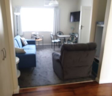 STYLISH 2 BEDROOM APARTMENT IN PETONE - Photo 4