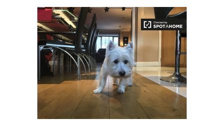 Room for rent in 4-bedroom house in Sandyford, Dublin - Photo 3