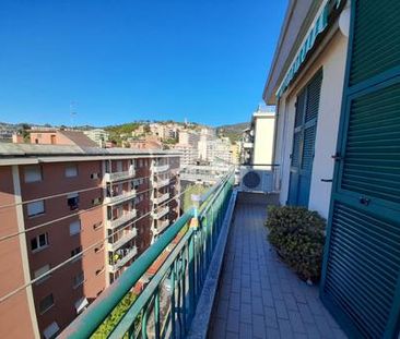 5 locali in affitto - Photo 2