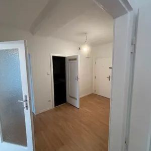 Frisch sanierte 2-Zimmer-Wohnung mit 62 m² in 1230 Wien - ab sofort verfügbar - Photo 2