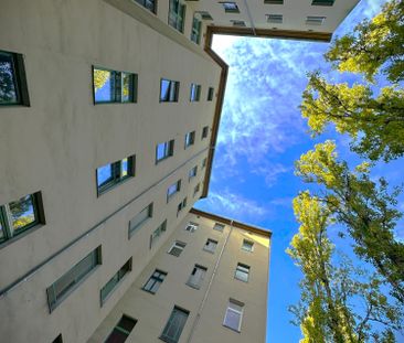 Sanierte und moderne Altbauwohnung mit Wohlfühlgarantie! - Photo 1