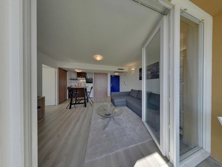 Est de PAU, Haut d'IDRON Appartement récent 2 p Meublé avec Terrasse et Parking privé couvert et sécurisé, - Photo 4