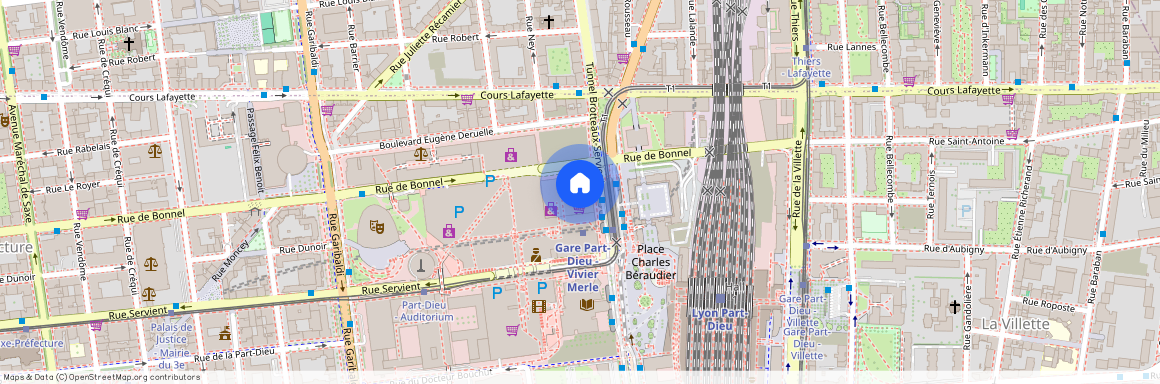 74 Cours Du Dr Long, 69003, Lyon