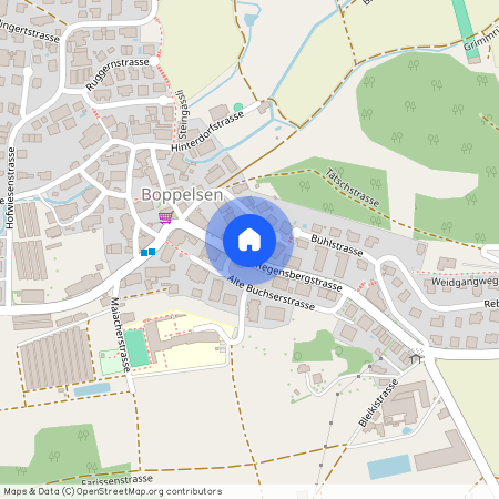 8113, Boppelsen, Regensberg-Strasse, 5