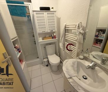 Location Appartement 1 pièce 32m² TOURS 37200 - Photo 3