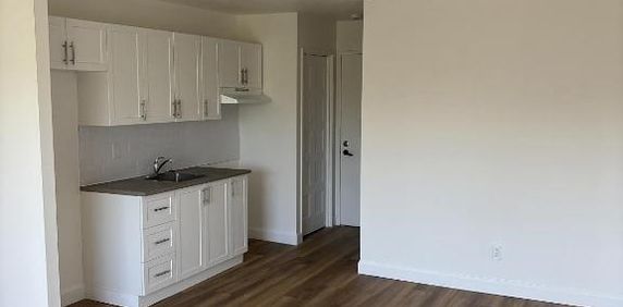 À louer – 3 ½ rénové au complet - Photo 2