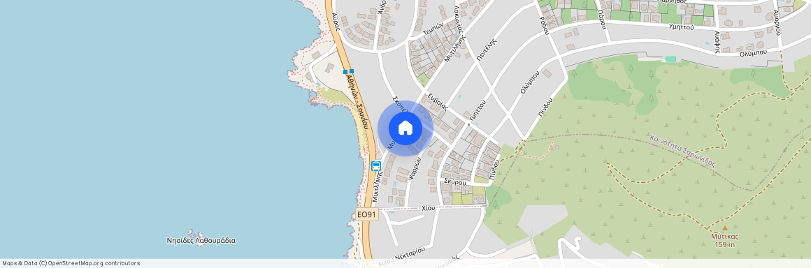 Μυτιλήνης 41, Σαρωνίδα 19013