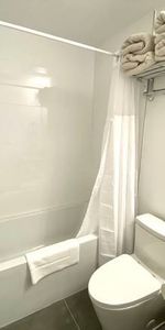 Available - Furnished 1bd 1bth suite with w/d, Fraser and 21st - $200 - Photo 4