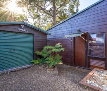 46 Carolyn Street, Adamstown Heights NSW 2289 - House For Rent | Do... - Photo 6