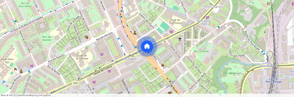 1212 Grand-Lancy