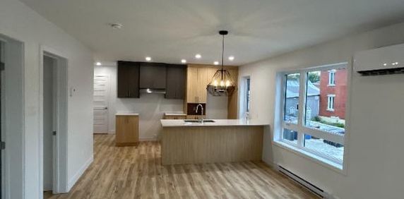 4 1/2 Acton vale - Photo 2