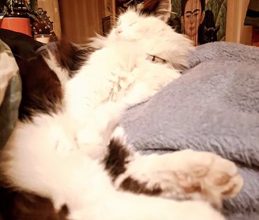 West Footscray - Photo 3