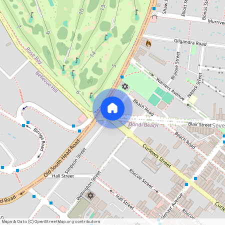 6 Curlewis Street, Sydney, New South Wales 2026