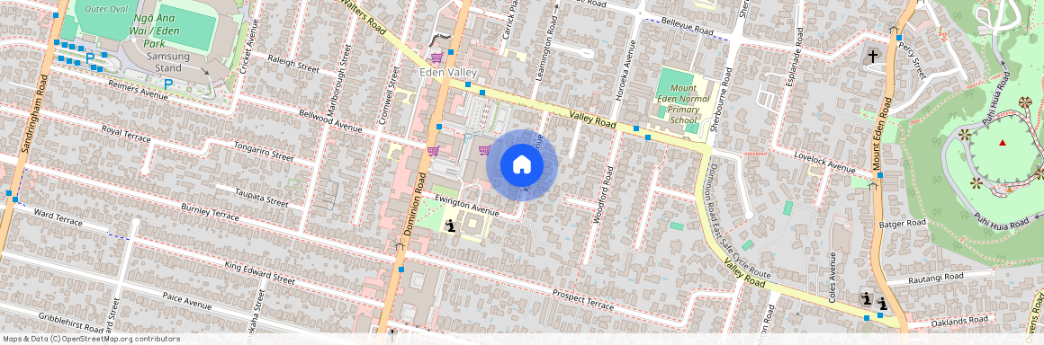 15 Kenyon Avenue, Mount Eden, Auckland City