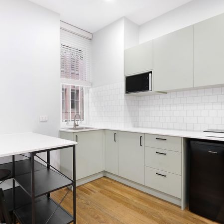 Oversized Renovated Studio - Photo 3