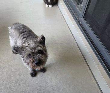 Mountain Creek - Photo 5